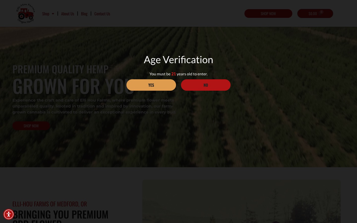 The current homepage